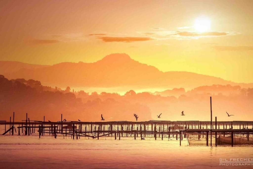 La Digue, 2 Chambres, Vue Mer Et Piscine La Seyne-sur-Mer Buitenkant foto